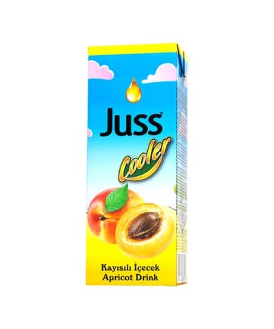 Juss Cooler Kayısı İçecek 200 ml