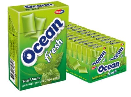 Saadet Ocean Fresh Nane Aromalı Şekerli Draje Sakız 15 gr