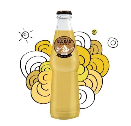 Uludağ Gazoz Legend Zencefil 250 ml
